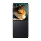 Samsung Galaxy Z Flip7 256GB