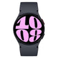 Samsung Smart Watch Graphite Samsung Galaxy Watch6 (40mm Case Bluetooth)